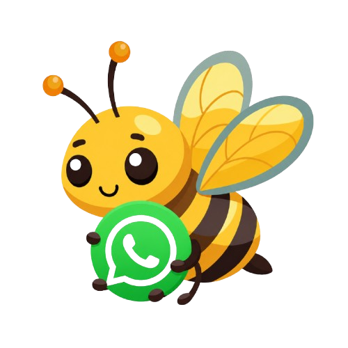 Chat with us on WhatsApp